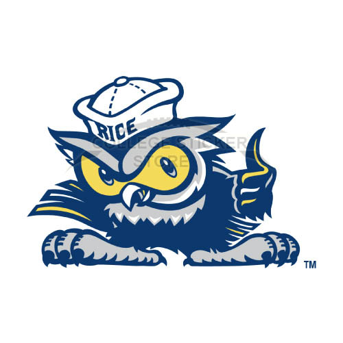 Homemade Rice Owls Iron-on Transfers (Wall Stickers)NO.5987